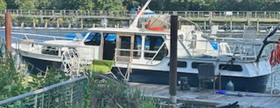 IMG_9384.jpeg